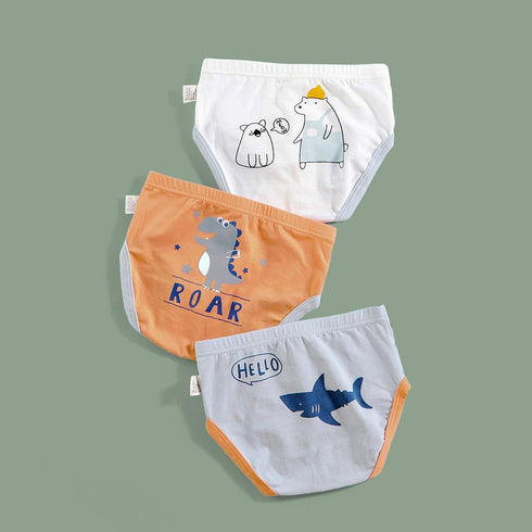 Boy's Underpants Three Packs